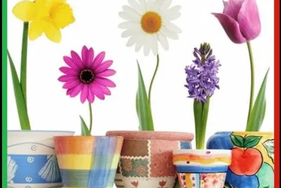 multicolor jigsaw puzzle
