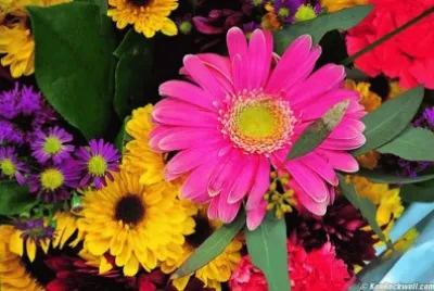multicolor jigsaw puzzle
