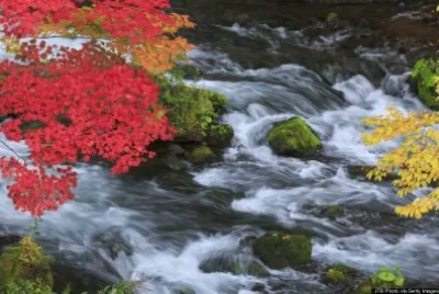 imagens jigsaw puzzle