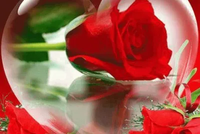 imagens jigsaw puzzle