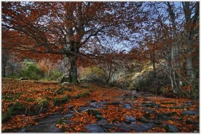paisaje jigsaw puzzle