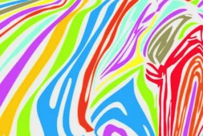 draw