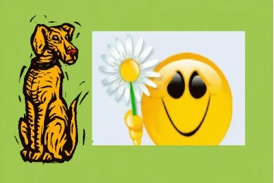 ×¡×ž×™×™×œ×™