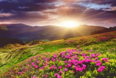 PAESAGGIO jigsaw puzzle