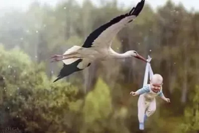 ×—×¡×™×“×”