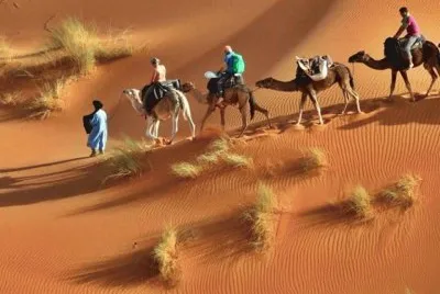 imagens jigsaw puzzle