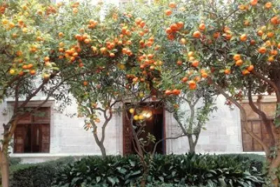 patio de los naranjos-lonja de la seda