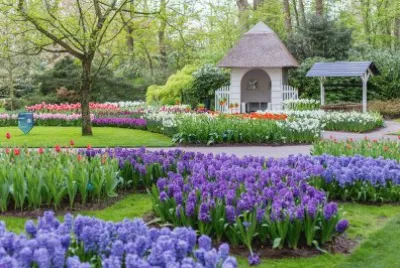 Beautiful Spring Garden jigsaw puzzle