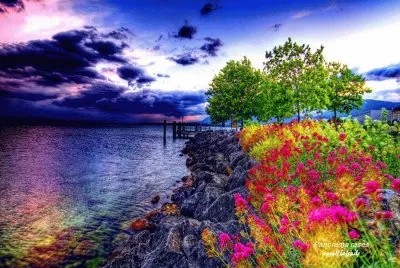 paisajes jigsaw puzzle