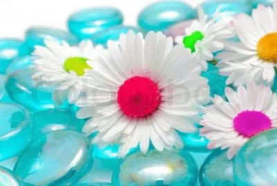 פאזל של Colors