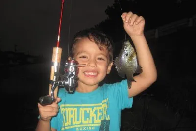 filho de peixe pescador Ã©