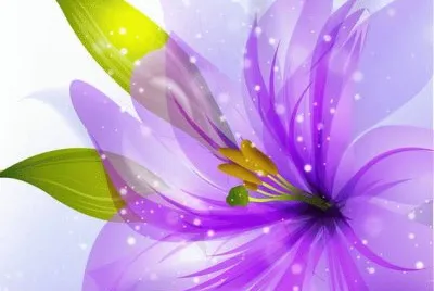 Perez Flower