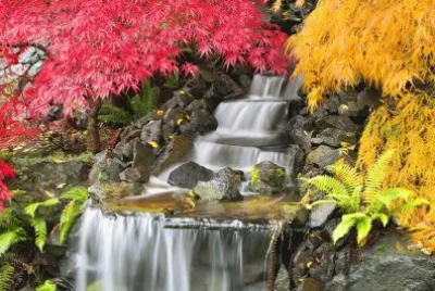 multicolor jigsaw puzzle