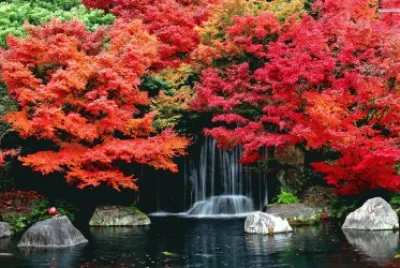 multicolor jigsaw puzzle