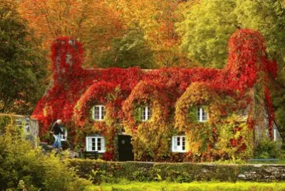 multicolor jigsaw puzzle