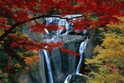 multicolor jigsaw puzzle