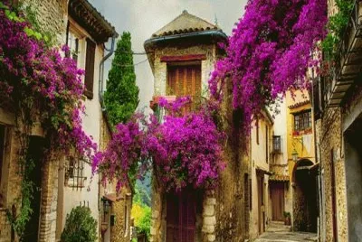La Provenza-Francia