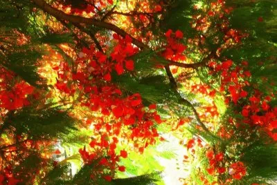 imagens jigsaw puzzle