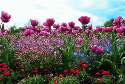 imagens jigsaw puzzle