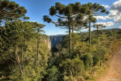 imagens jigsaw puzzle
