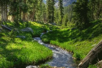 2 jigsaw puzzle