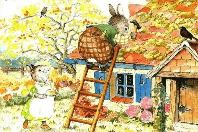 coelhos