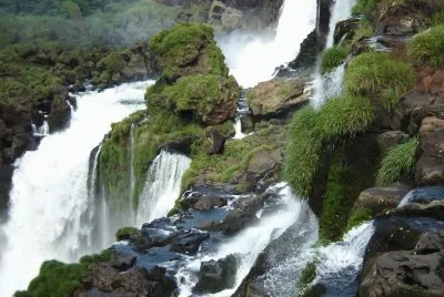 PN IguazÃº. Misiones. Argentina jigsaw puzzle
