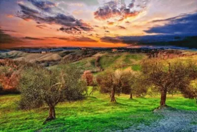 imagens jigsaw puzzle