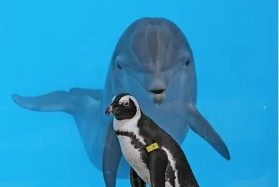 mundo marino