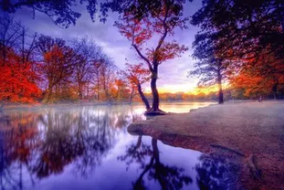 paisajes jigsaw puzzle