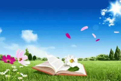 libri jigsaw puzzle