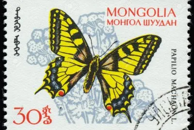 francobolli