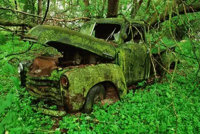 truck-moss-woods_42607_600x450 jigsaw puzzle