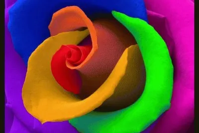 multicolor