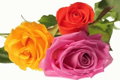 imagens jigsaw puzzle