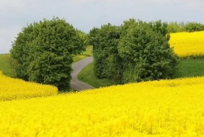 imagens jigsaw puzzle