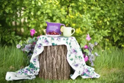 Lemonade Pitcher in the Garden-Still Life