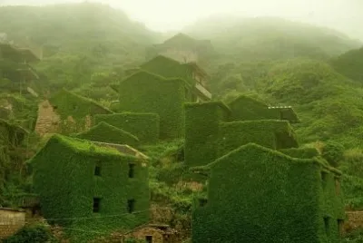 verde jigsaw puzzle