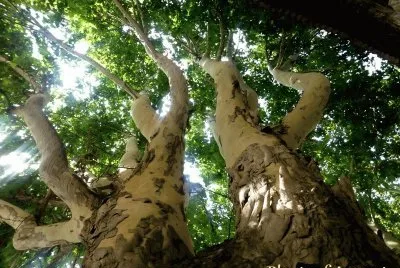 imagens jigsaw puzzle