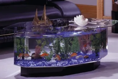 Unique Aquarium Table