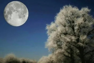 imagens jigsaw puzzle