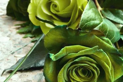 imagens jigsaw puzzle