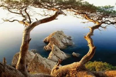 imagens jigsaw puzzle