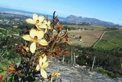 imagens jigsaw puzzle