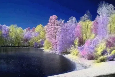 imagens jigsaw puzzle