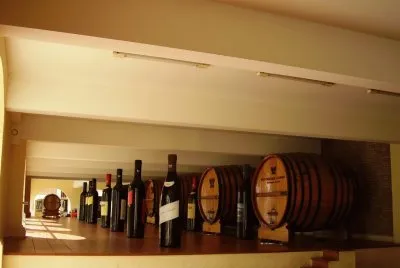 En una bodega mendocina. Argentina