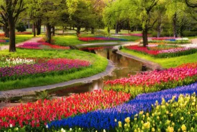 Serpent Tulip Garden-Japan jigsaw puzzle