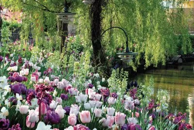 Tivoli Gardens-Copenhagen jigsaw puzzle