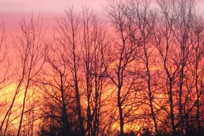 Fiery looking sunrise