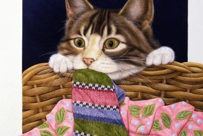 gato